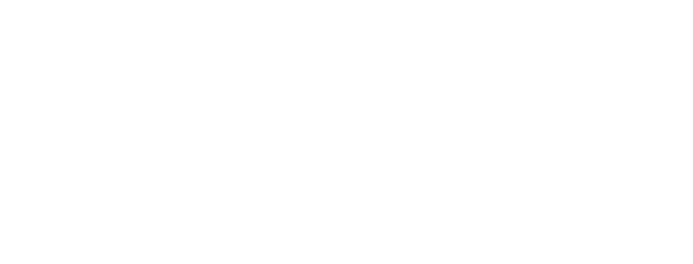 Bella Vida Aesthetics & Wellness logo