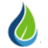 Bloom IV Hydration & Wellness logo