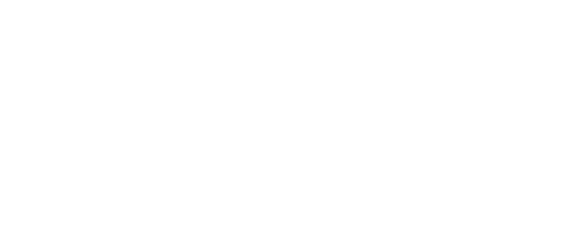 Florida Aesthetics and Wellness logo