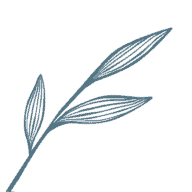 Focus Aesthetics logo