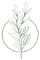 Four Seasons Med Spa Austin logo