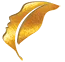 Radiant Beauty & Health logo